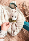 Franky Crochet Giraffe PDF Pattern